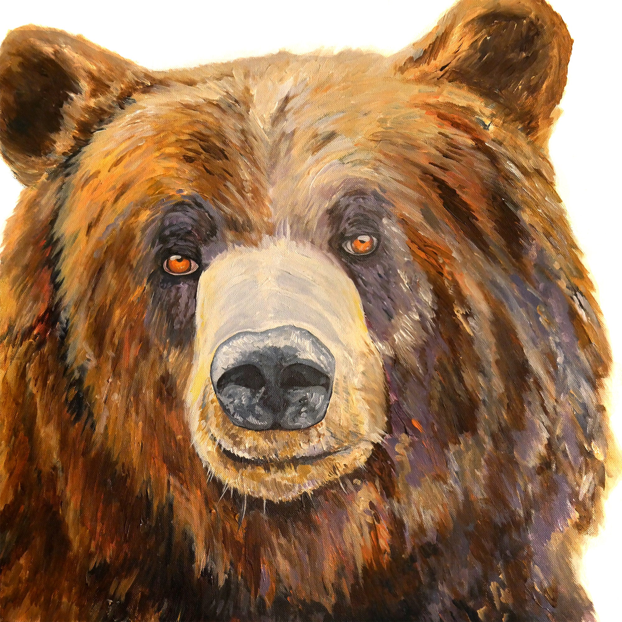 Bear Portrait