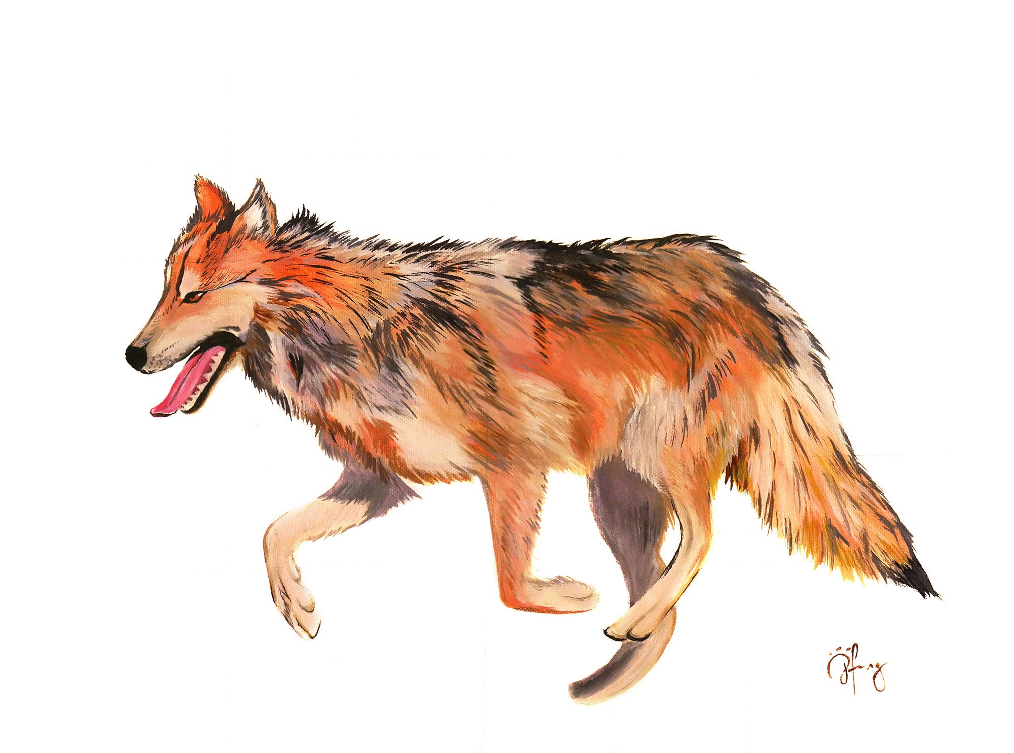 Orange Wolf Drawing